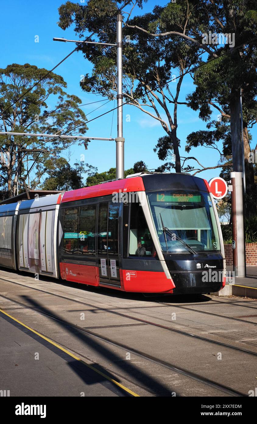 Un tram si fermò alla fermata della metropolitana leggera di Devonshire Street a Surry Hills, Sydney Foto Stock
