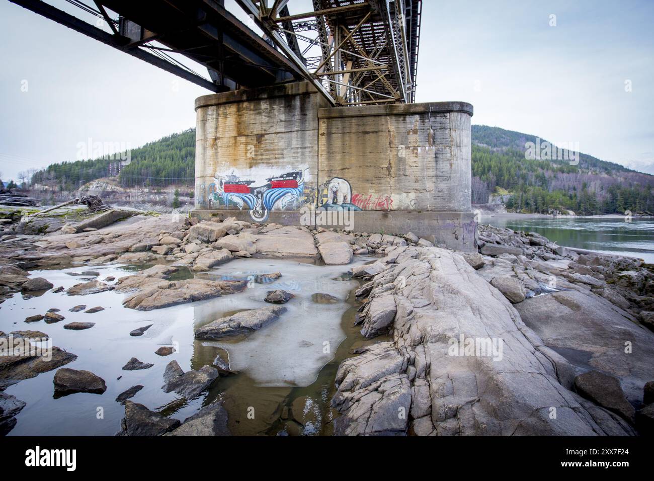 Greg Knox, direttore della conservazione SkeenaWild, preoccupazioni circa la proposta di GNL (gas naturale liquefatto) progetti in British Columbia. Fino a quindici oleodotti e cinque impianti di trasformazione sono previste per il Kitimat e Prince Rupert. Le piante sono parte del Gateway settentrionale Gasdotto, che quando avrà finito di trasporto di LNG Bruderheim in Alberta e olio diluito da tar sands verso est per esportazione in Asia. La pipeline proposta, altamente controversa è stata approvata nel giugno 2014 - ancorché soggetto a 209 condizioni. La pressione è su di costruire la pipeline, come il futuro della proposta di Keystone XL Foto Stock