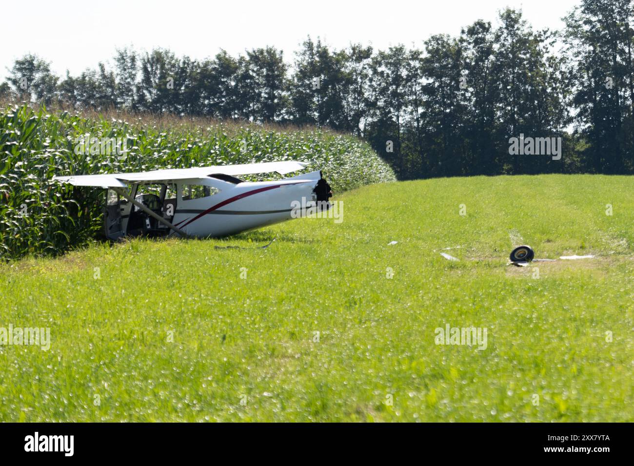 Incidente aereo su un prato, incidente aereo Foto Stock