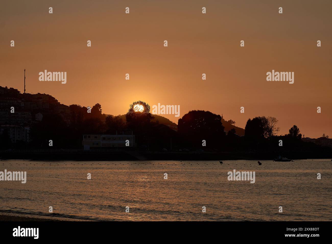 Tramonto unico a Ladeira Beach, dove il sole tramonta dietro un albero solitario, creando una silhouette impressionante contro il cielo serale Foto Stock