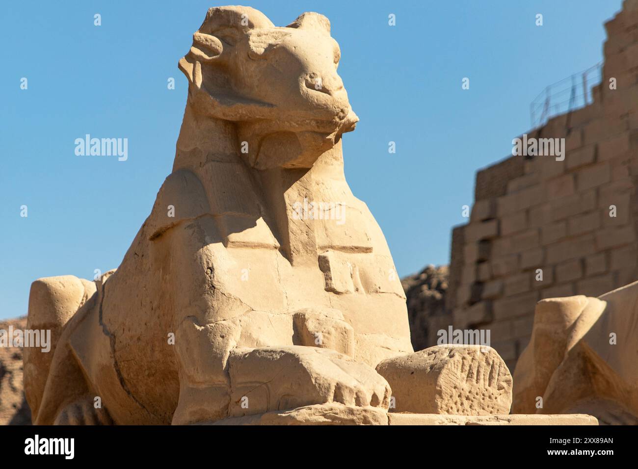 Scolpita millenni fa, questa sfinge è stata una silenziosa testimonianza dell'ascesa e della caduta dell'antica Tebe. Il suo sguardo enigmatico ha ispirato stupore Foto Stock