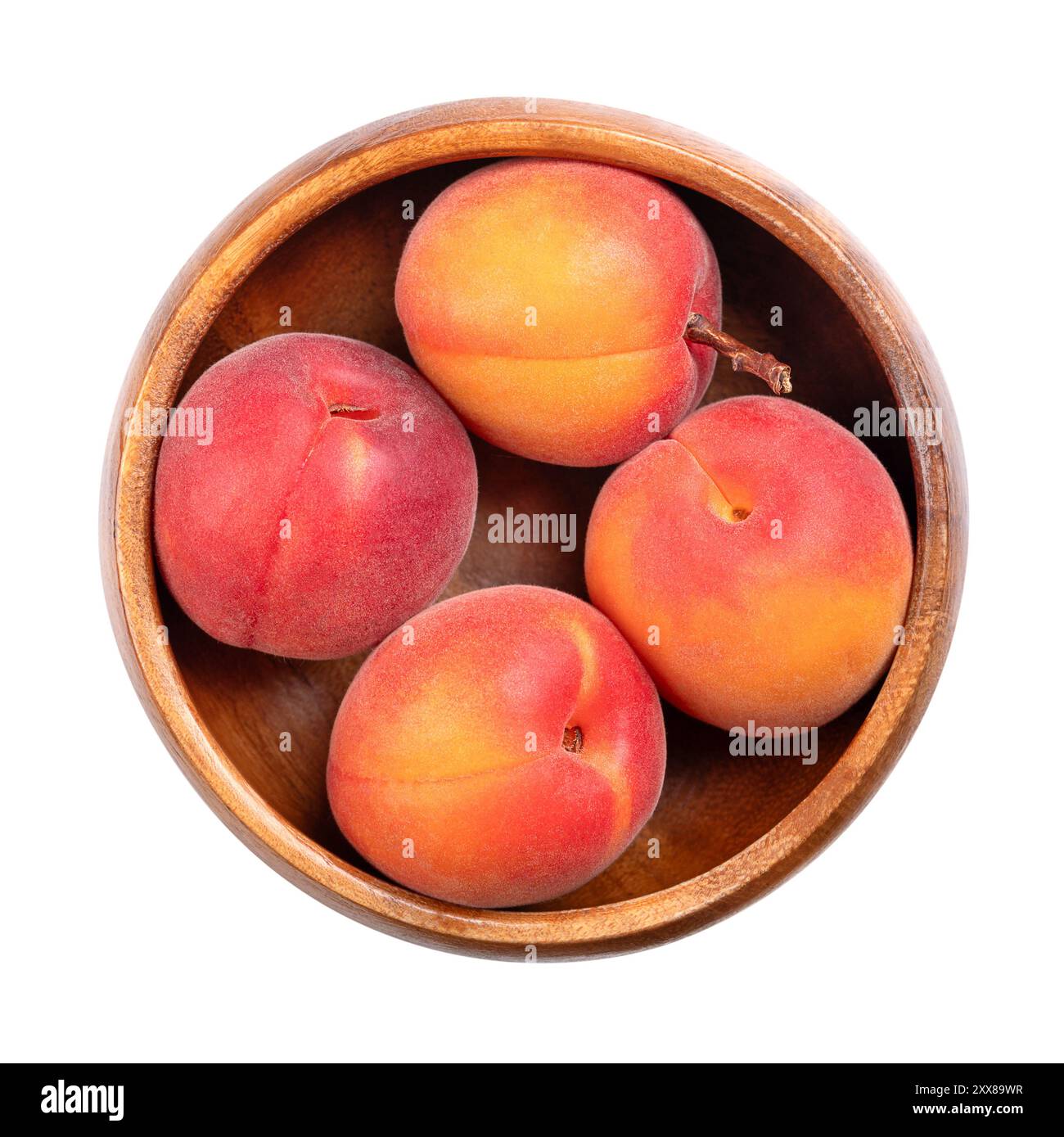 Albicocche fresche in un recipiente bianco. Frutti di pietra di Prunus armeniaca, simile a una piccola pesca. Frutti gialli, rosso tinto sul lato più esposto al sole. Foto Stock