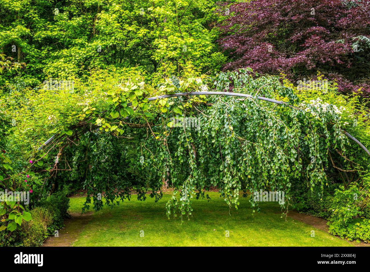 Francia, Pas-de-Calais (62270), Séricourt, les Jardins de Séricourt, situato tra le Touquet e Arras a sud di Pas-de-Calais (Haut de France) e creato su più di 4 ettari, Les Jardins de Séricourt sono etichettati come Remarkable Gardens, uno dei più bei giardini contemporanei del Nord-Pas-de-Calais. Foto Stock