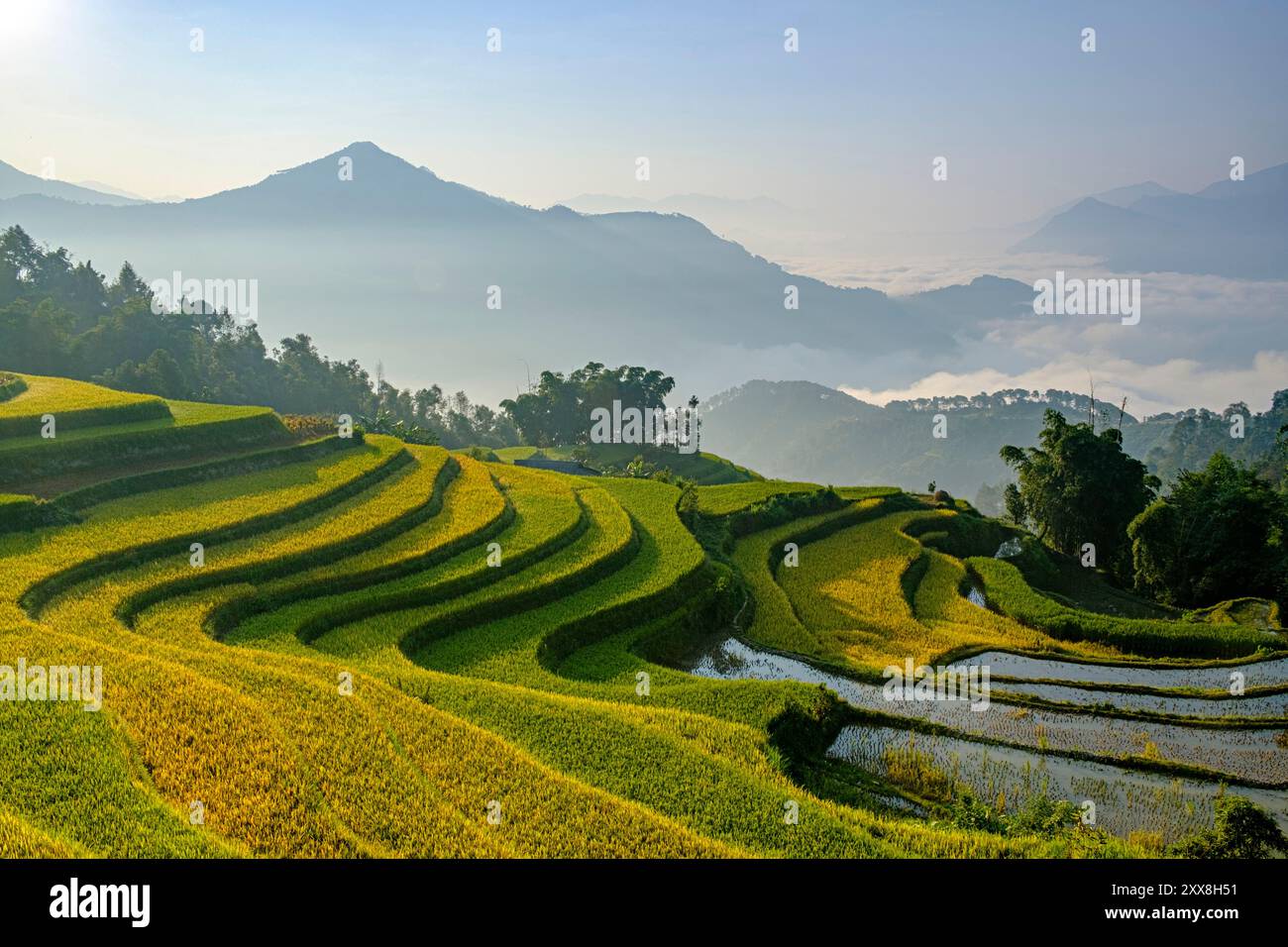 Il Vietnam, Ha Giang, Hoang Su Phi, a La Chi gruppo erthnic borgo tra i campi di riso in terrazza Foto Stock