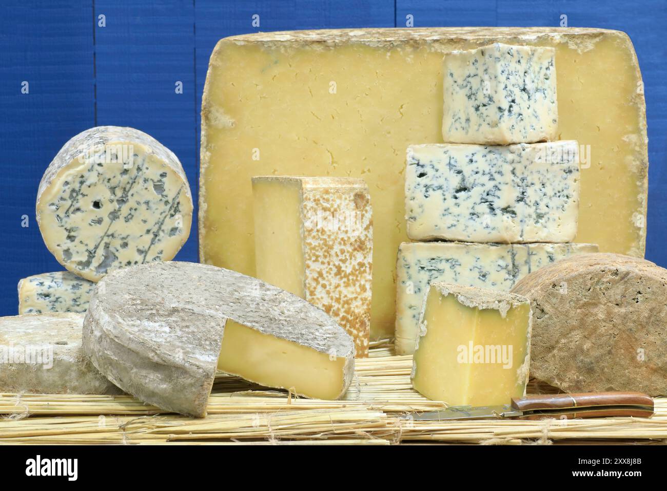 Francia, Puy de Dome, Clermont Ferrand, caseificio Nivesse, 5 formaggi DOP Auvergne (Cantal, Saint-Nectaire, Fourme d'Ambert, Salers e Bleu d'Auvergne) Foto Stock