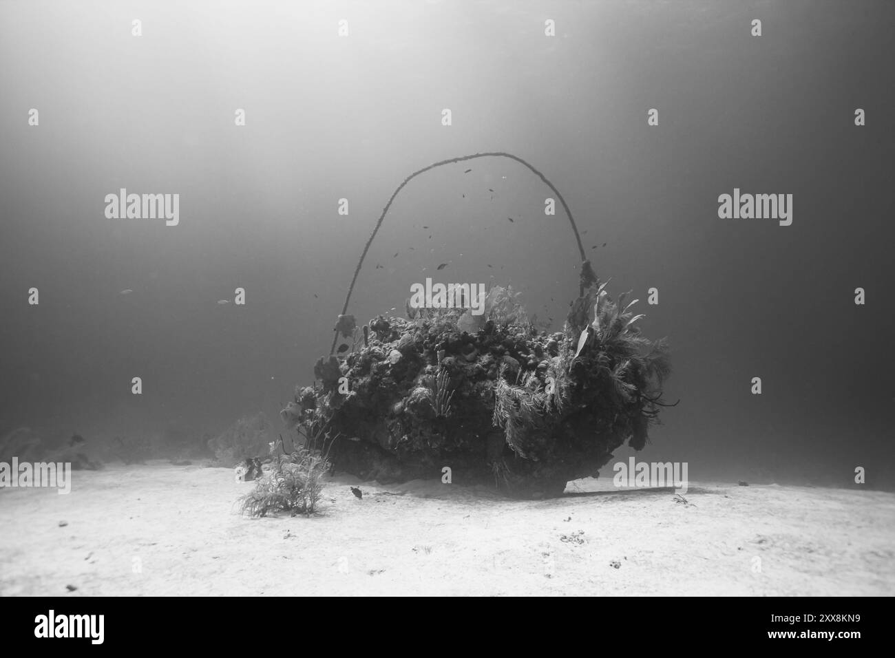 Honduras, Utila, relitto di una piccola barca di legno Foto Stock