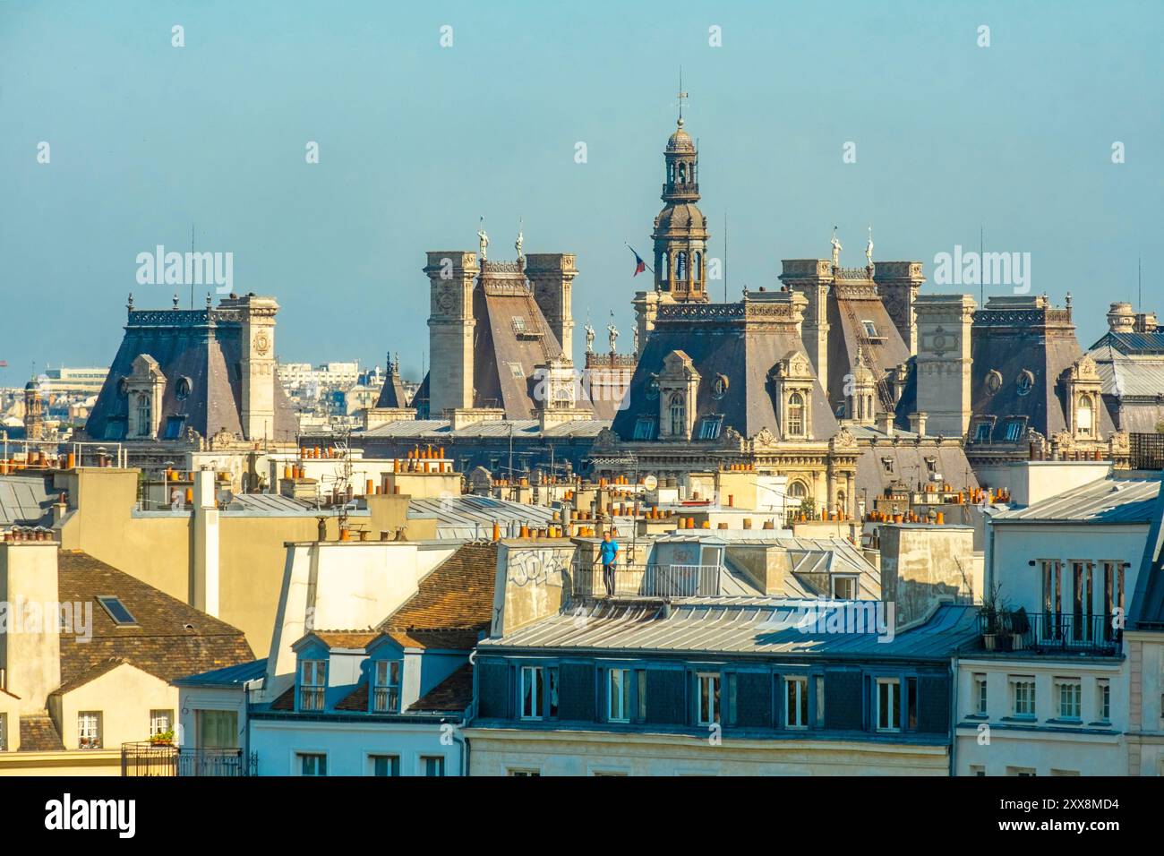 Francia, Parigi, vista sui tetti di Parigi, l'Hôtel de Ville Foto Stock