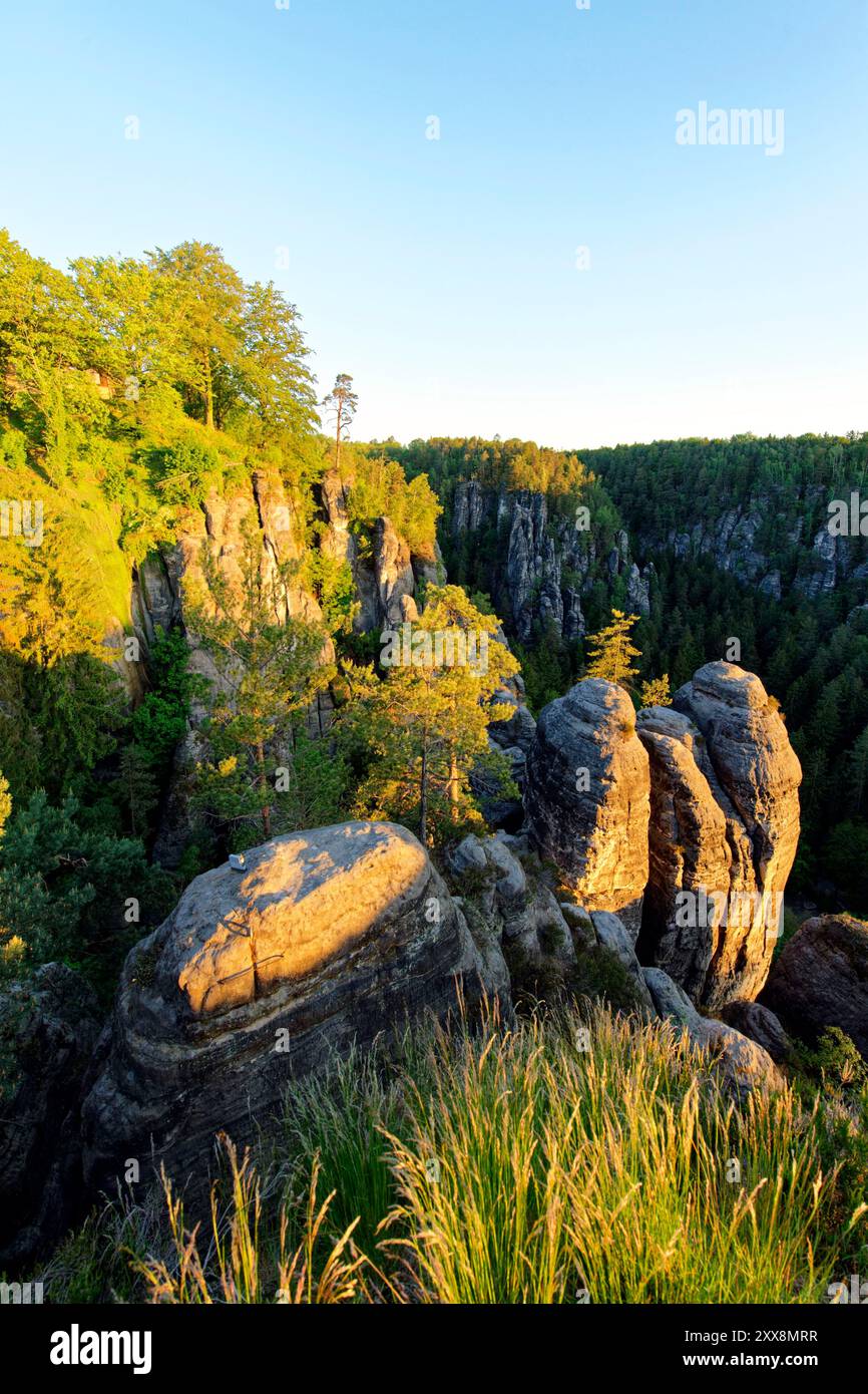 Germania, Sassonia, Sassonia svizzera, parco nazionale della Sassonia svizzera, formazione di arenaria Bastei Foto Stock