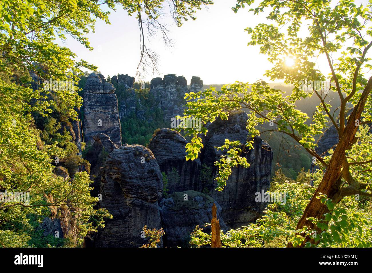 Germania, Sassonia, Sassonia svizzera, parco nazionale della Sassonia svizzera, formazione di arenaria Bastei Foto Stock