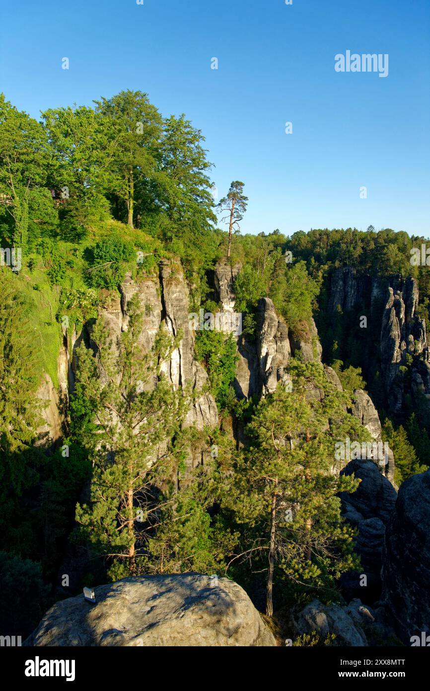 Germania, Sassonia, Sassonia svizzera, parco nazionale della Sassonia svizzera, formazione di arenaria Bastei Foto Stock
