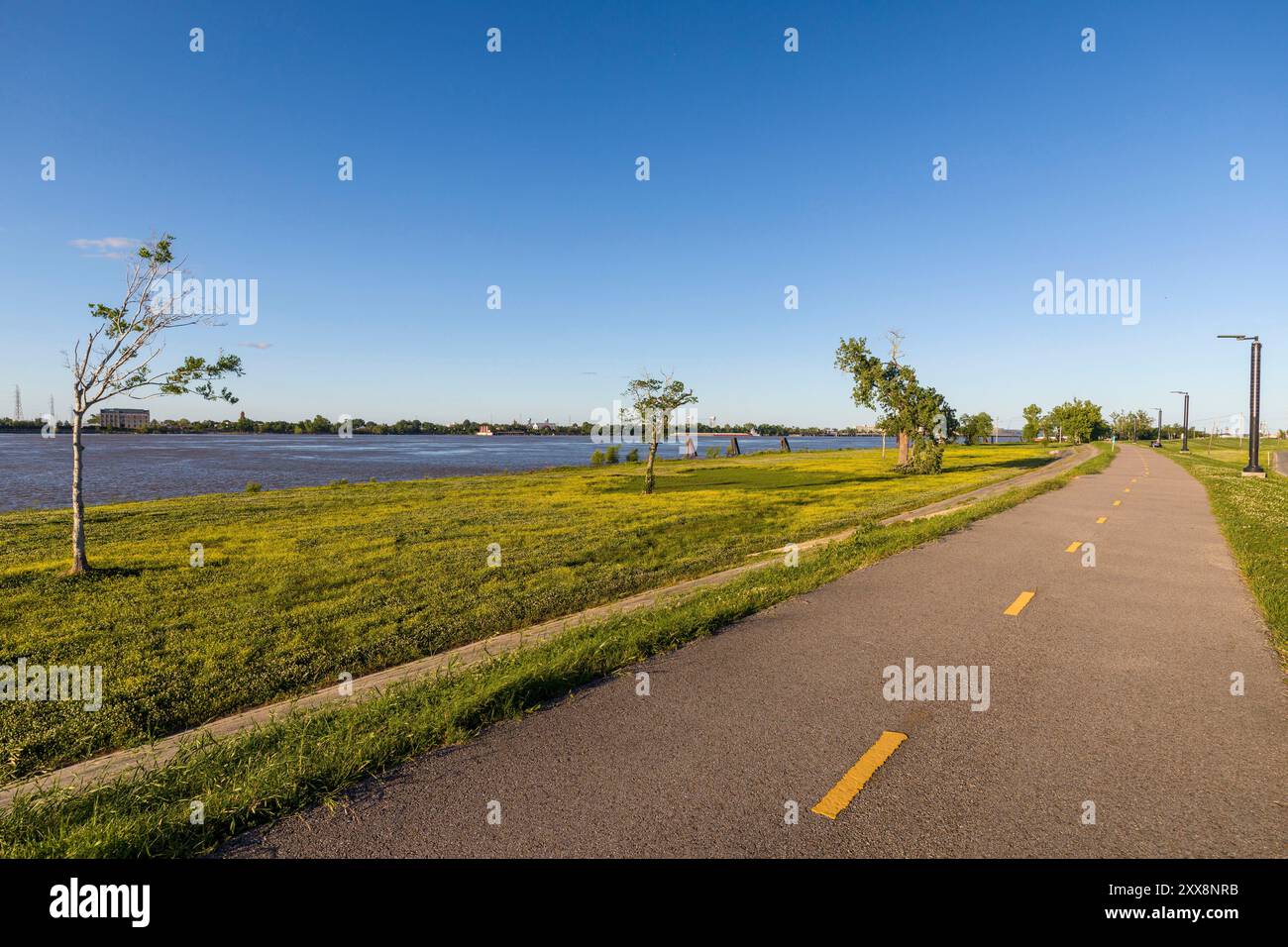 Stati Uniti, Louisiana, New Orleans, sulla diga che protegge contro gli straripamenti del fiume Mississippi nel distretto di Algeri Foto Stock