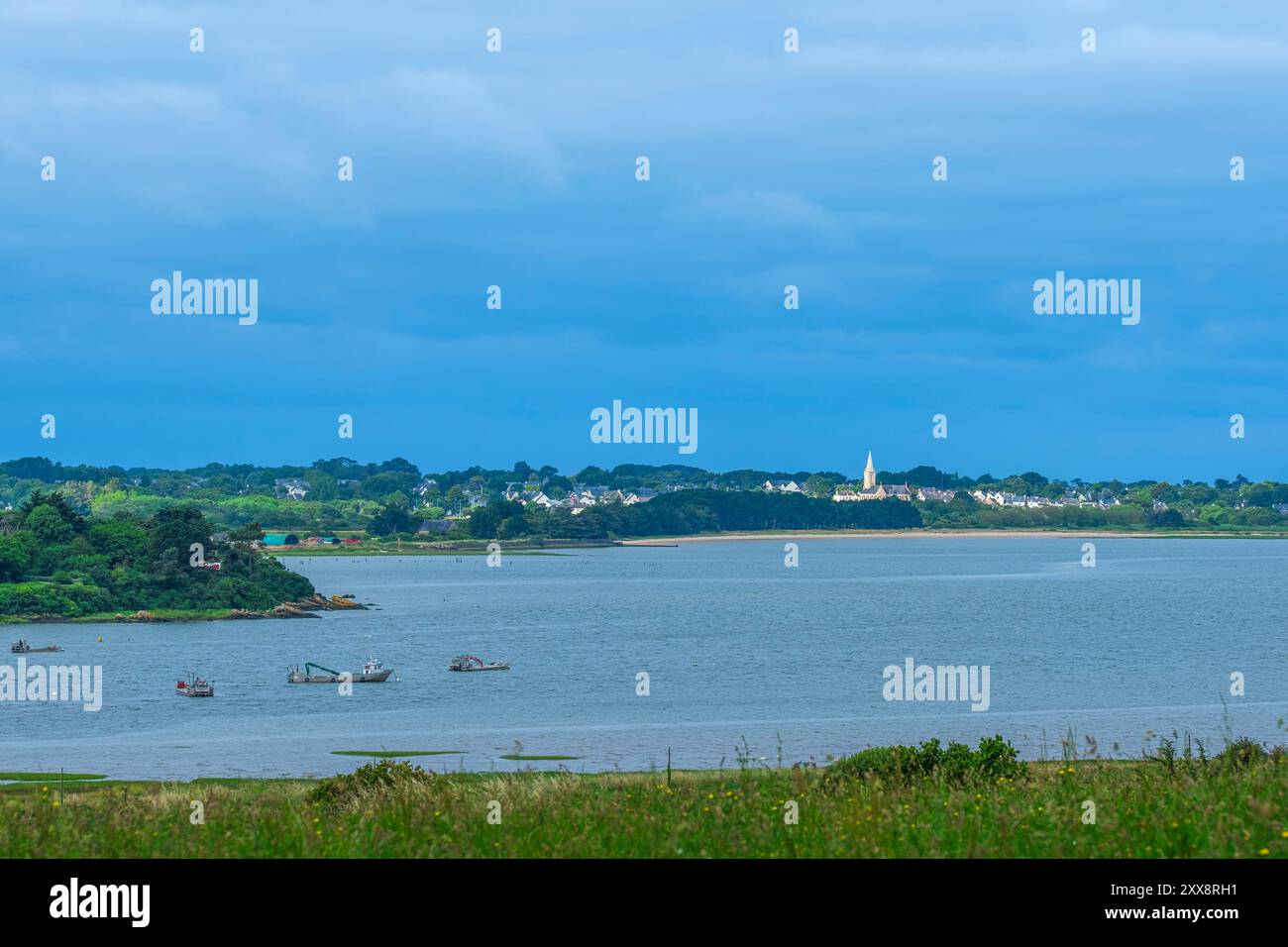 Francia, Morbihan, dintorni di Arzal, vista dell’estuario della Vilaine dal sentiero escursionistico a lunga distanza GR 34 o dal sentiero degli ufficiali doganali, Penestin sullo sfondo Foto Stock