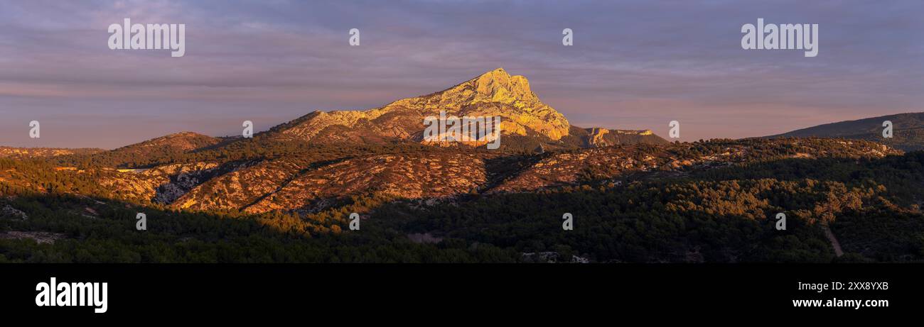 Francia, Bouches du Rhone, Pays d'Aix, Aix en Provence, altopiano di Bibemus, montagna Sainte Victoire Foto Stock