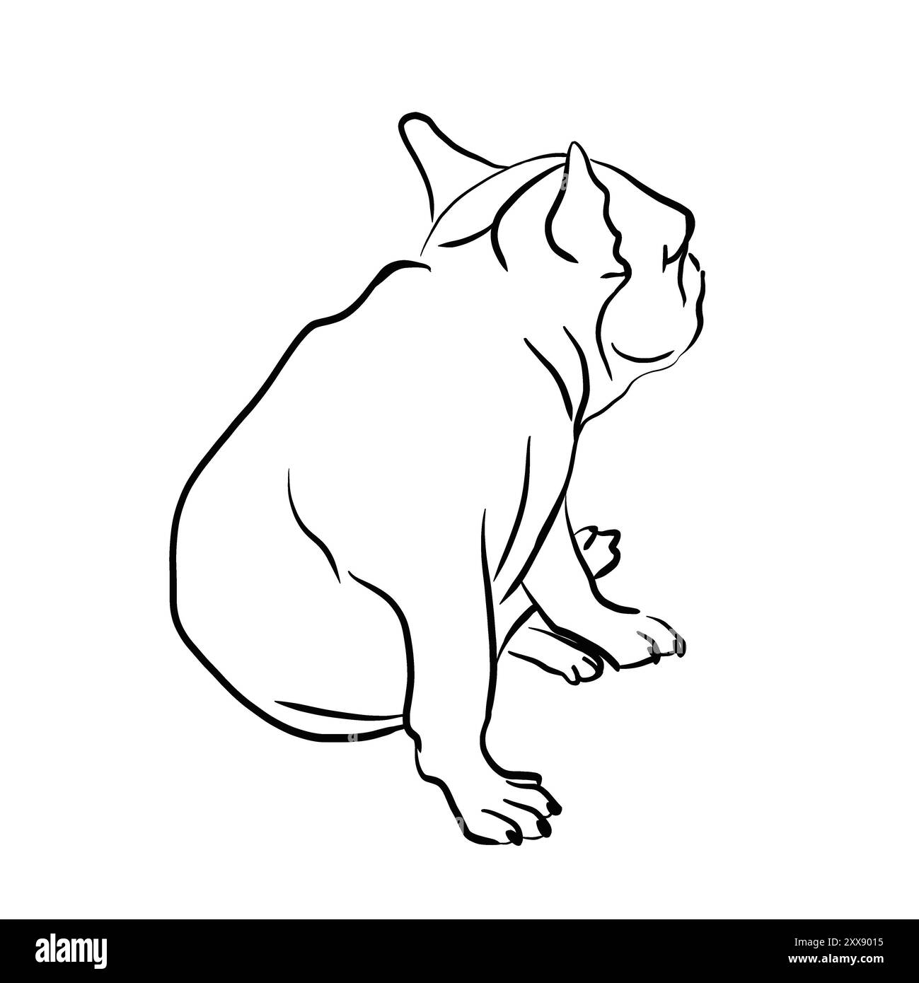 Bulldog francese seduto. muso piatto. Si è allontanato e si è guardato indietro. Cane premuroso. Schizzo in bianco e nero. disegnato con una linea. Nessuno sfondo. Foto Stock