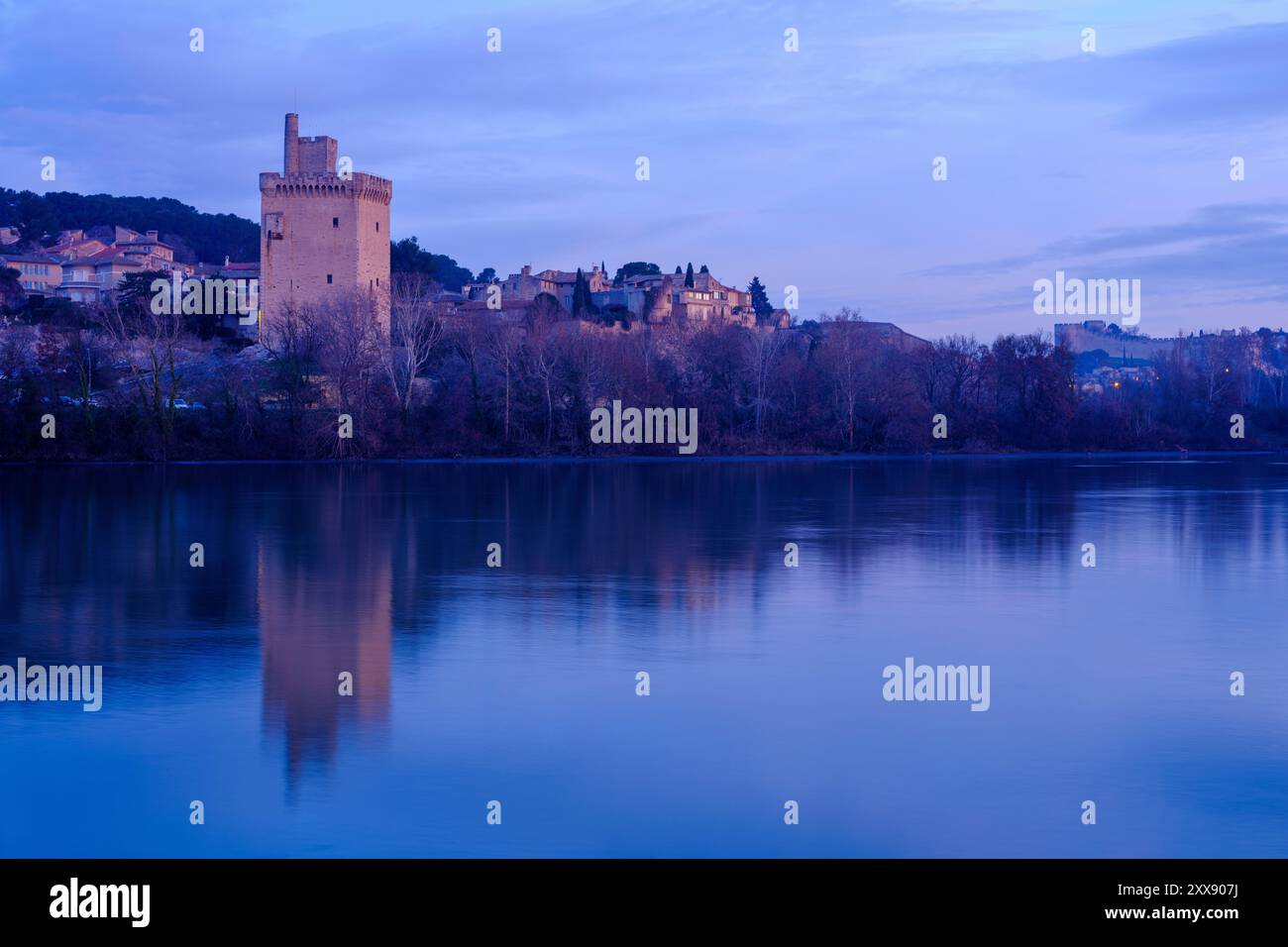 Francia, Gard, Villeneuve les Avignone, fiume Rodano, Torre Philippe le bel e Fort Saint Andre (XIV secolo), monumento storico di classe Foto Stock