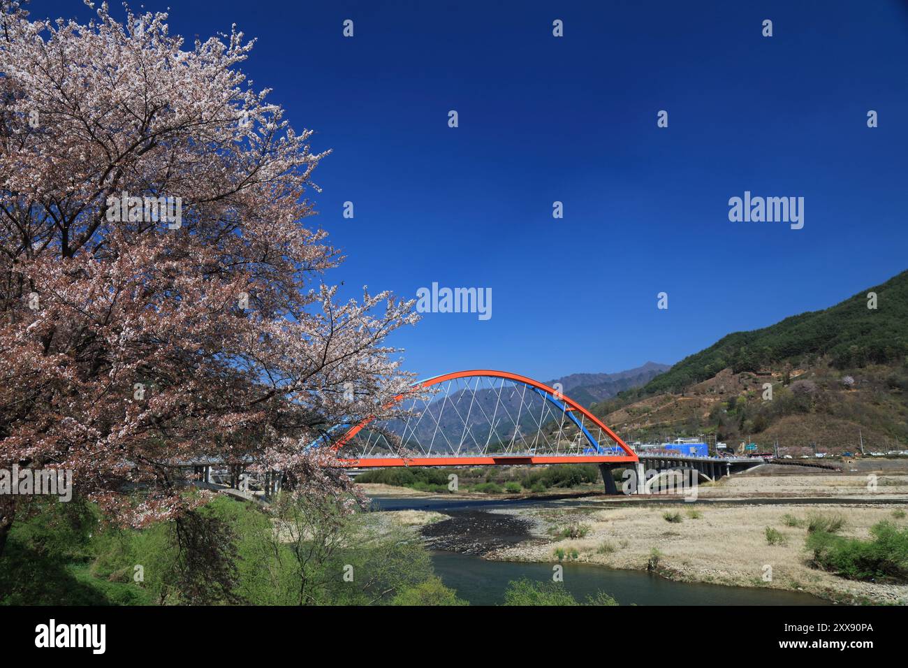 Ponte ad arco legato sul fiume Seomjingang (noto anche come fiume Seomjin) a Hwagae-myeon a Hadong, Corea del Sud. Foto Stock