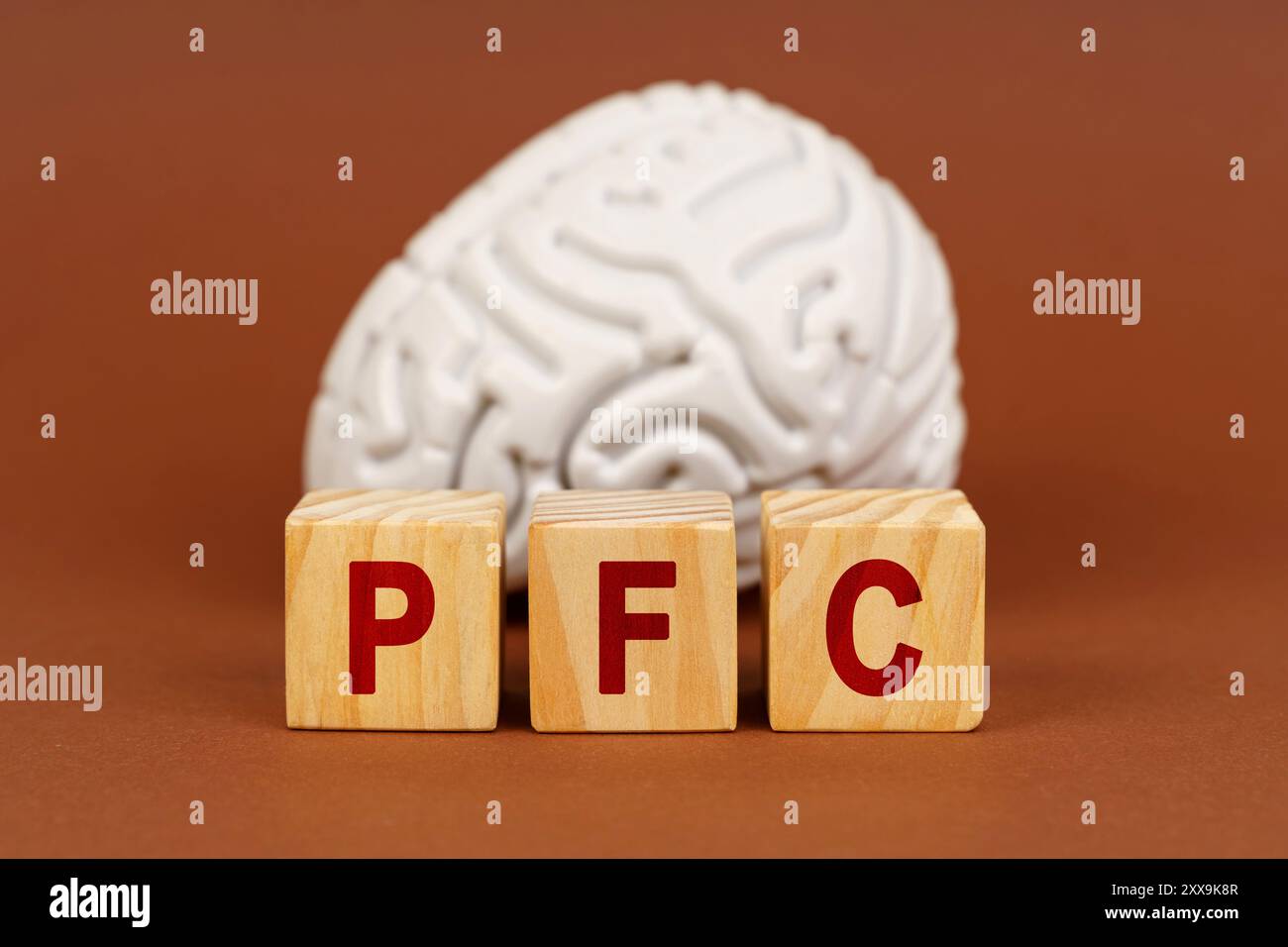 I blocchi di legno marcati PFC sono prominenti davanti a un modello cerebrale, evidenziando il significato della corteccia prefrontale nelle funzioni cognitive. Foto Stock