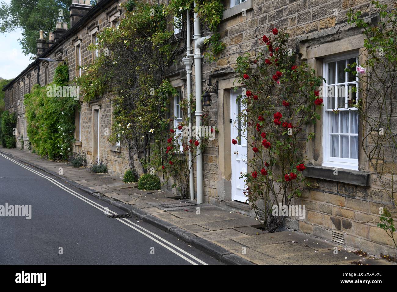 Rose Cottage Foto Stock
