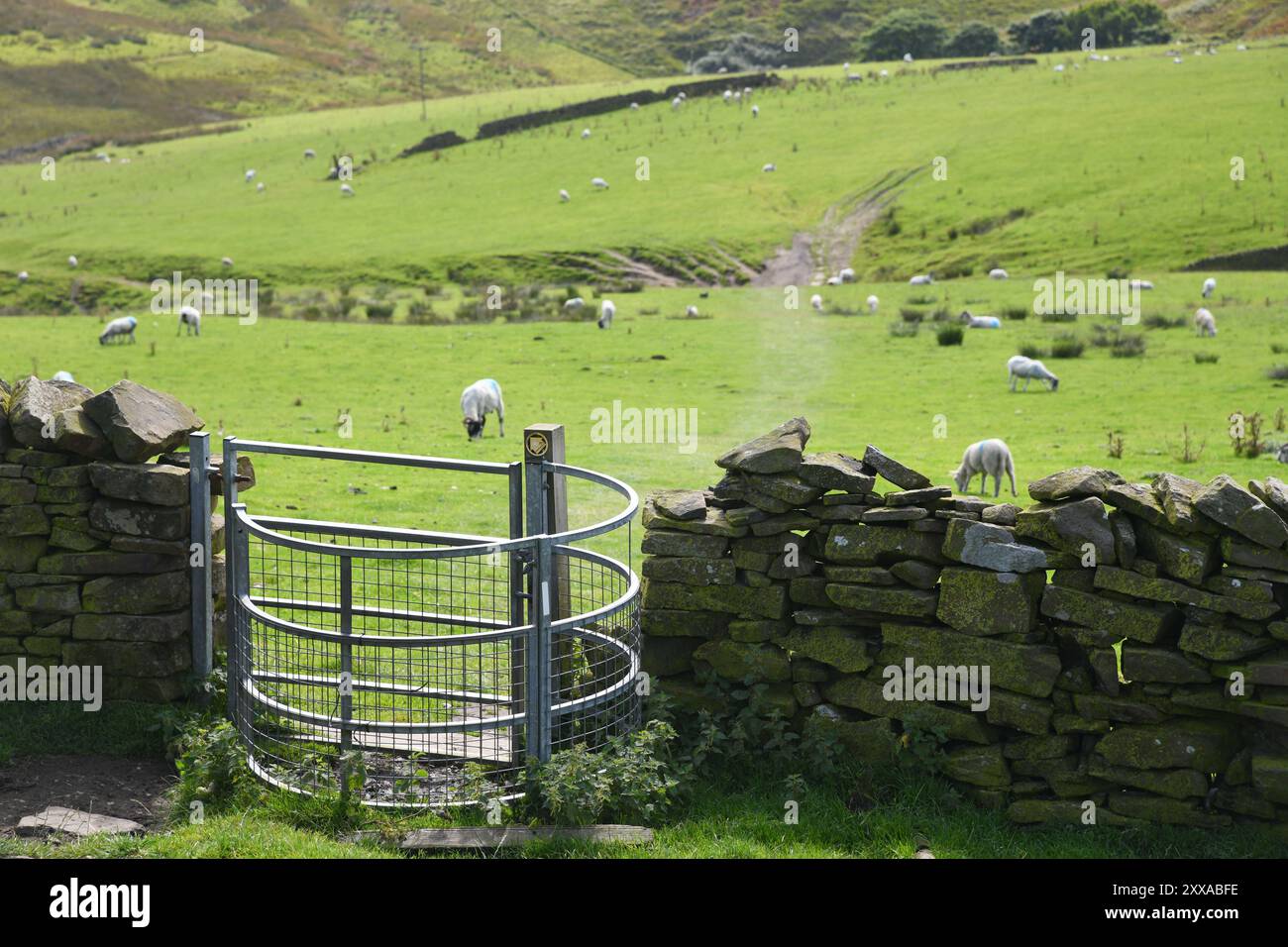 Parco Nazionale di Peak District Foto Stock
