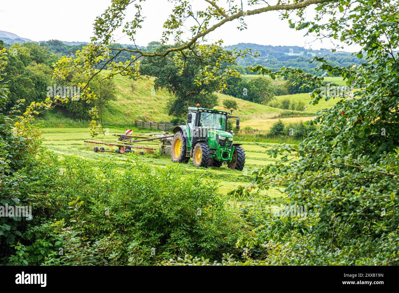 Tornitura dell'erba per la produzione di insilati con un trattore John Deere 6130R e un rastrello per fieno Claas Liner 2900 a Irthington, Cumbria, Inghilterra, Regno Unito Foto Stock