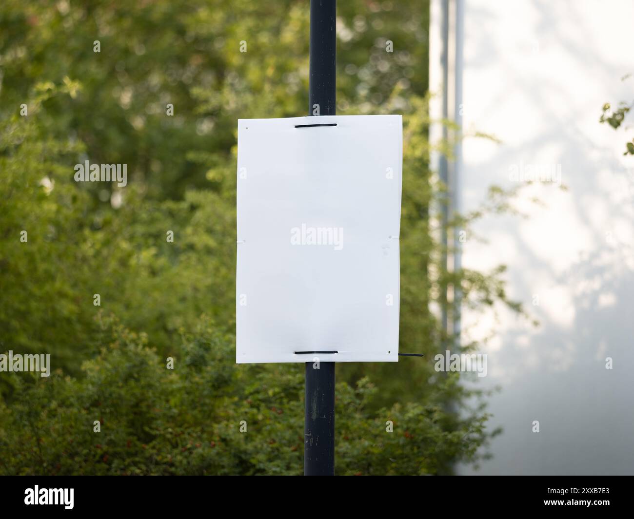 Modello di poster elettorale vuoto. Modello per un cartello pubblicitario in una strada montata su un palo. Spazio pubblicitario vuoto davanti alle foglie verdi. Foto Stock