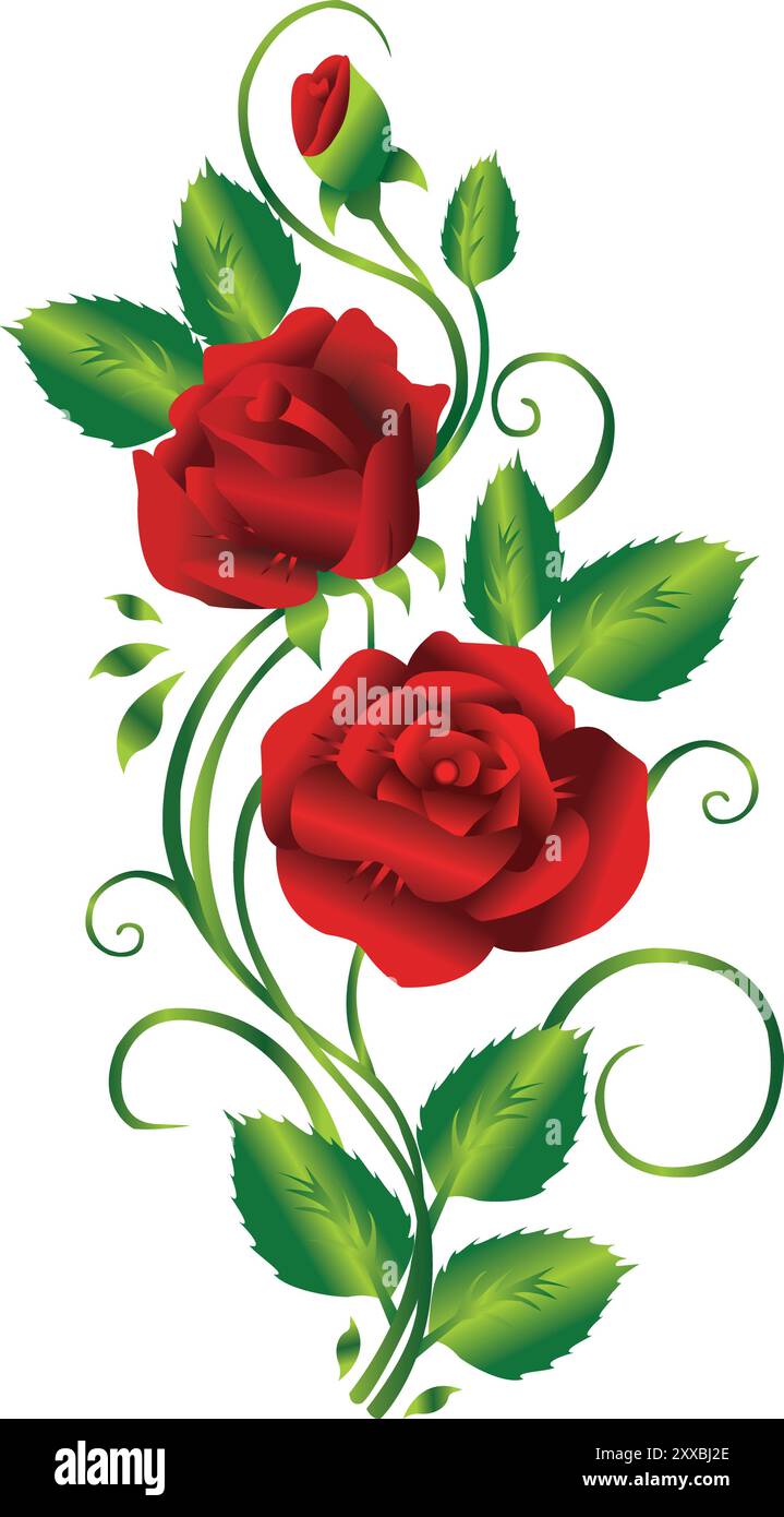 immagine del design vettoriale della carta di fiori di rosa bouquet su sfondo bianco Illustrazione Vettoriale