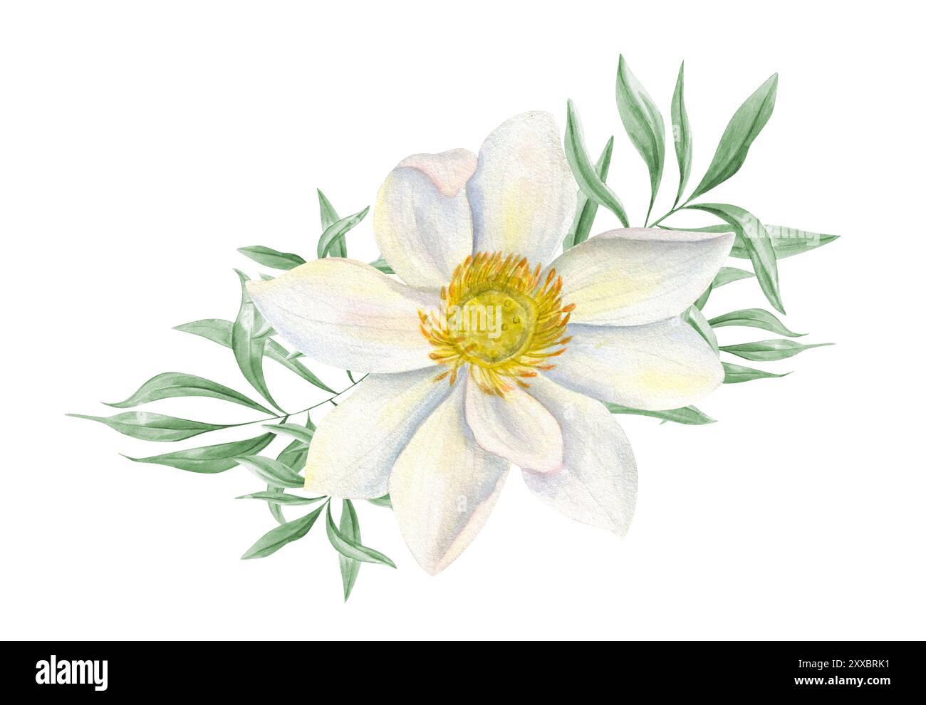 Fiore di loto bianco singolo tra foglie tropicali verdi, illustrazione realistica ad acquerello. Bouquet di fiori d'acqua e di eucalipto Foto Stock