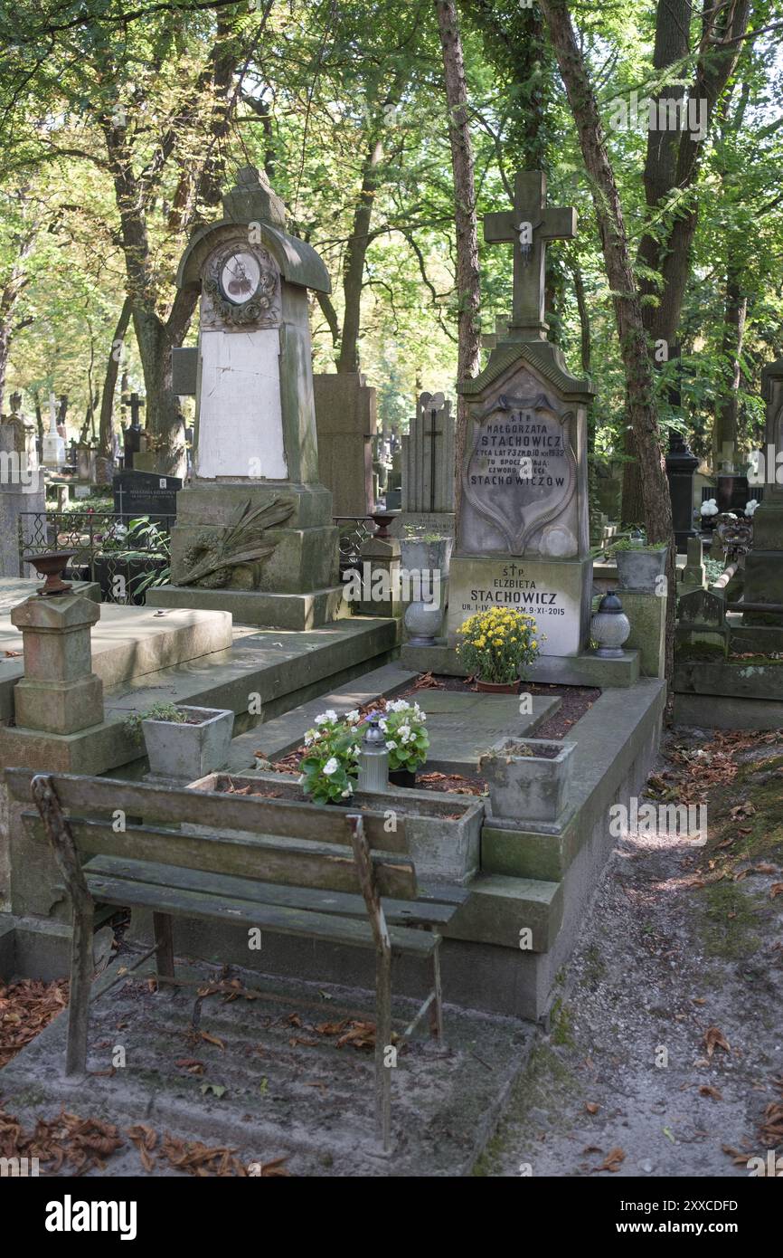 Vista del cimitero Powazki di Varsavia, fondato nel 1790, è il cimitero più famoso della Polonia a causa del gran numero di personalità che riposano Foto Stock