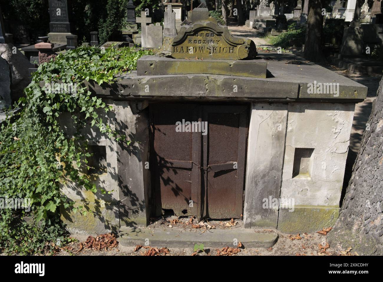 Vista del cimitero Powazki di Varsavia, fondato nel 1790, è il cimitero più famoso della Polonia a causa del gran numero di personalità che riposano Foto Stock