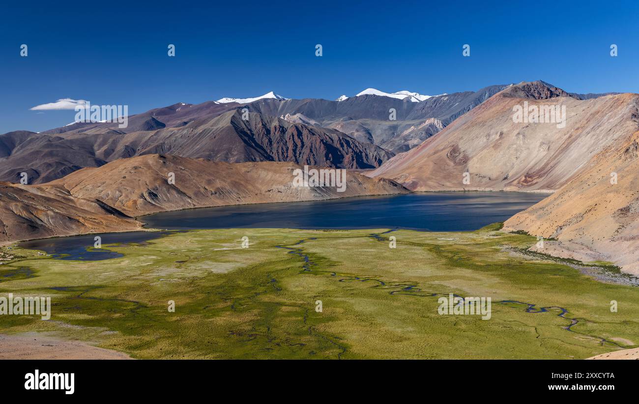 Yayatso, un lago ad alta quota a Ladakh, India. Un nuovo punto caldo di biodiversità con un'attitudine di 4820 metri. Foto Stock