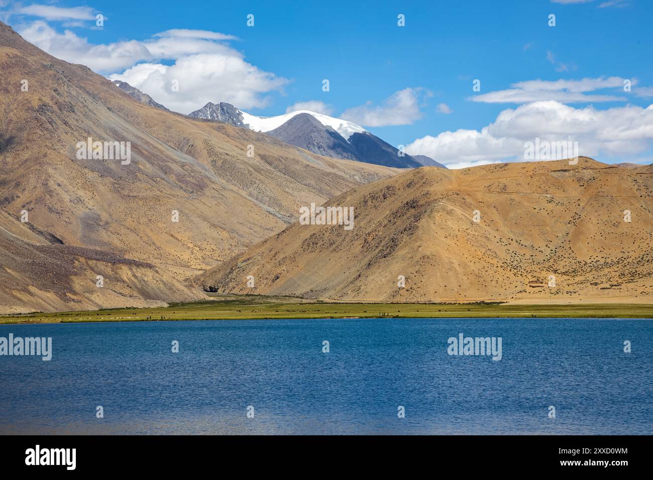 Increspature nelle acque cristalline di Yayatso, un lago ad alta quota a Ladakh, India. Un nuovo punto caldo di biodiversità con un'attitudine di 4820 metri. Foto Stock