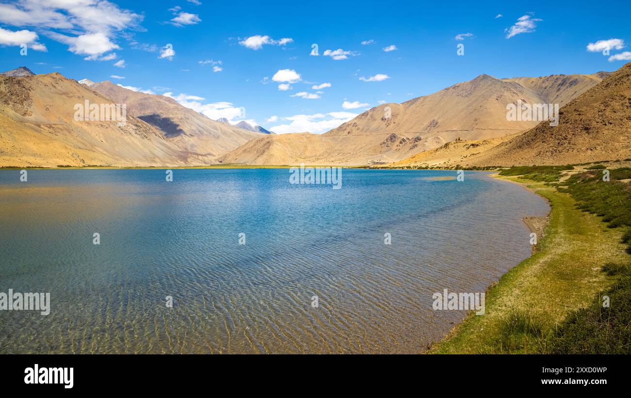 Praterie sulle rive di Yayatso, un lago ad alta quota a Ladakh, India. Un nuovo punto caldo di biodiversità con un'attitudine di 4820 metri. Foto Stock