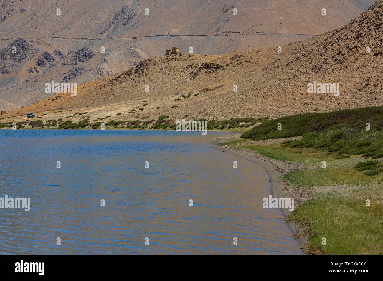 Praterie sulle rive di Yayatso, un lago ad alta quota a Ladakh, India. Un nuovo punto caldo di biodiversità con un'attitudine di 4820 metri. Foto Stock