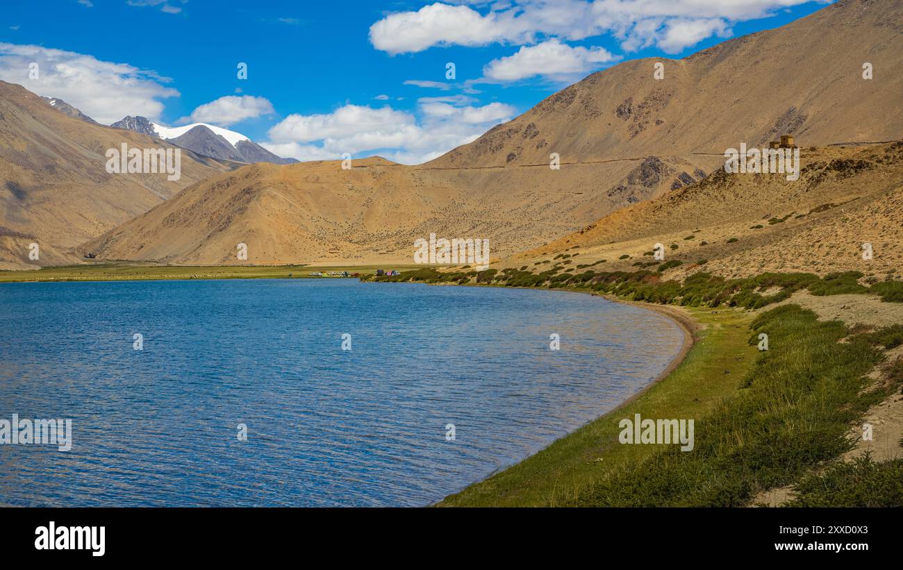 Praterie sulle rive di Yayatso, un lago ad alta quota a Ladakh, India. Un nuovo punto caldo di biodiversità con un'attitudine di 4820 metri. Foto Stock
