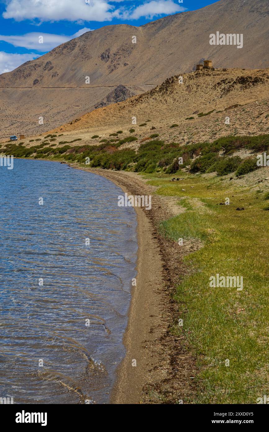 Praterie sulle rive di Yayatso, un lago ad alta quota a Ladakh, India. Un nuovo punto caldo di biodiversità con un'attitudine di 4820 metri. Foto Stock