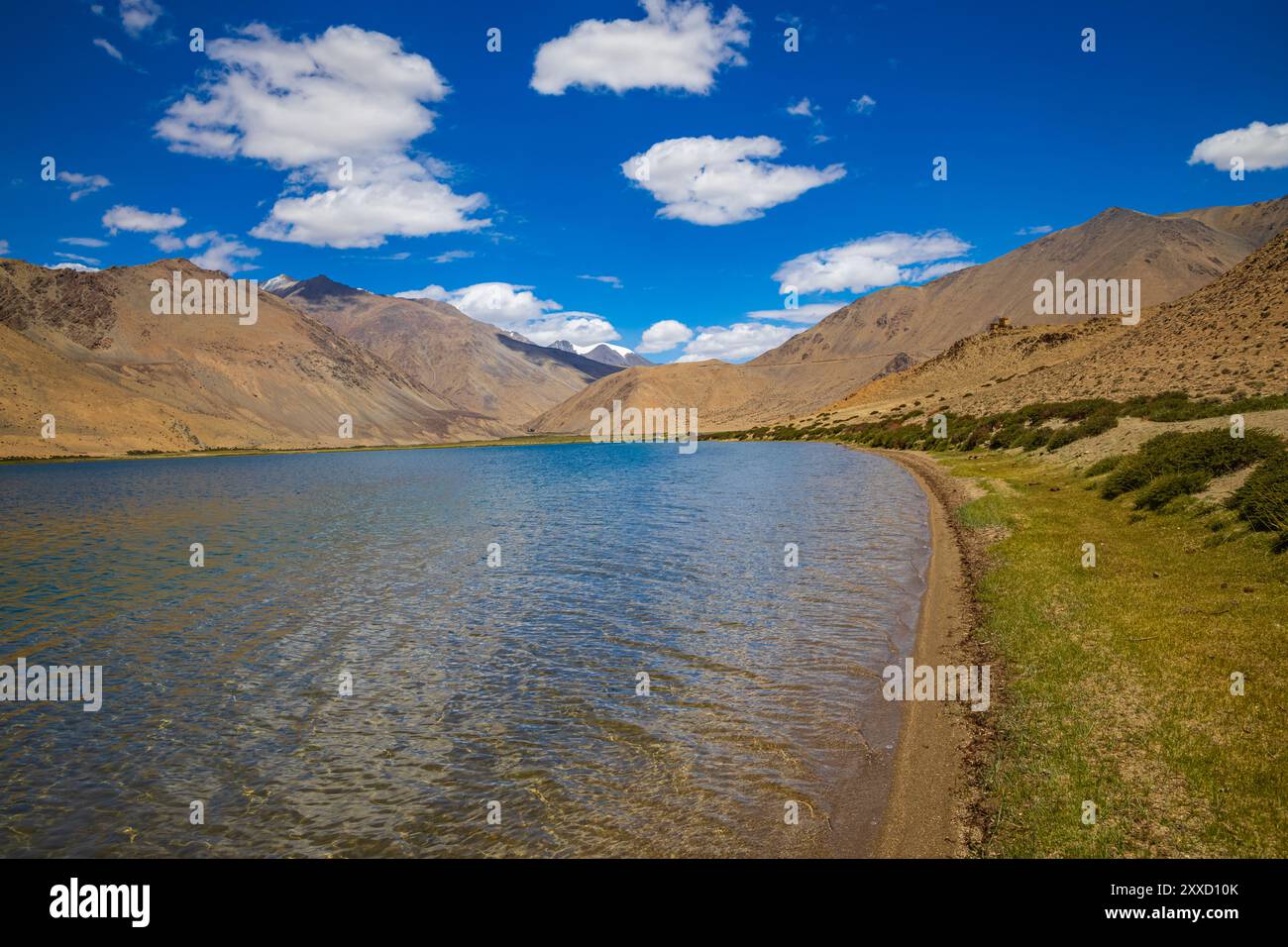 Praterie sulle rive di Yayatso, un lago ad alta quota a Ladakh, India. Un nuovo punto caldo di biodiversità con un'attitudine di 4820 metri. Foto Stock