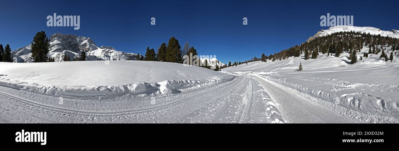 Sci di fondo Prato Piazza Foto Stock