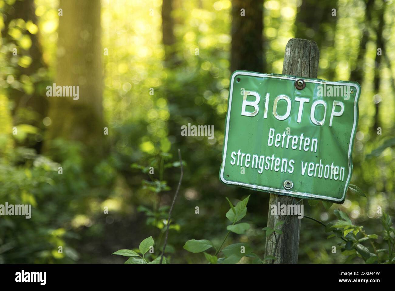 Area di riserva naturale in Germania. Cartello con 'Biotope. E' severamente vietato entrare? Foto Stock