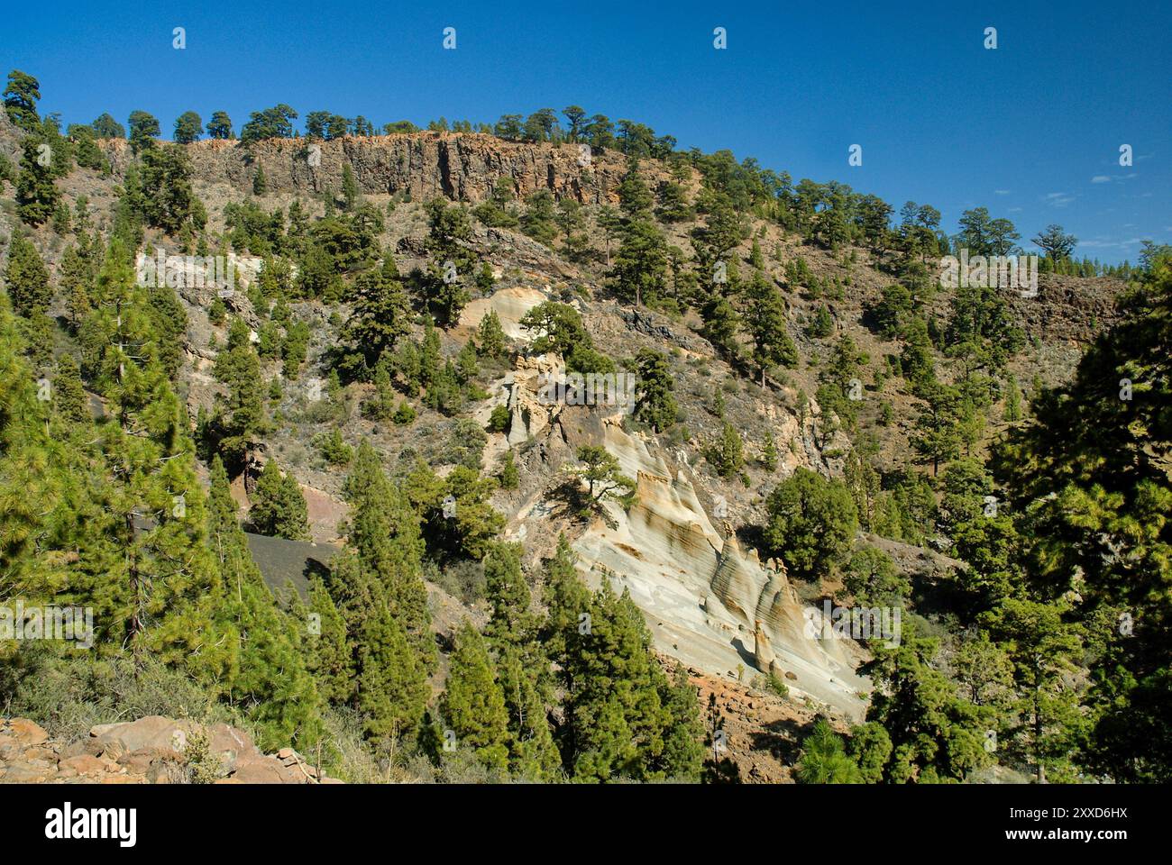 Coni di tufo nel paesaggio lunare di Paisaje, Parque Natural de la Corona Forestal, Tenerife, Isole Canarie Foto Stock