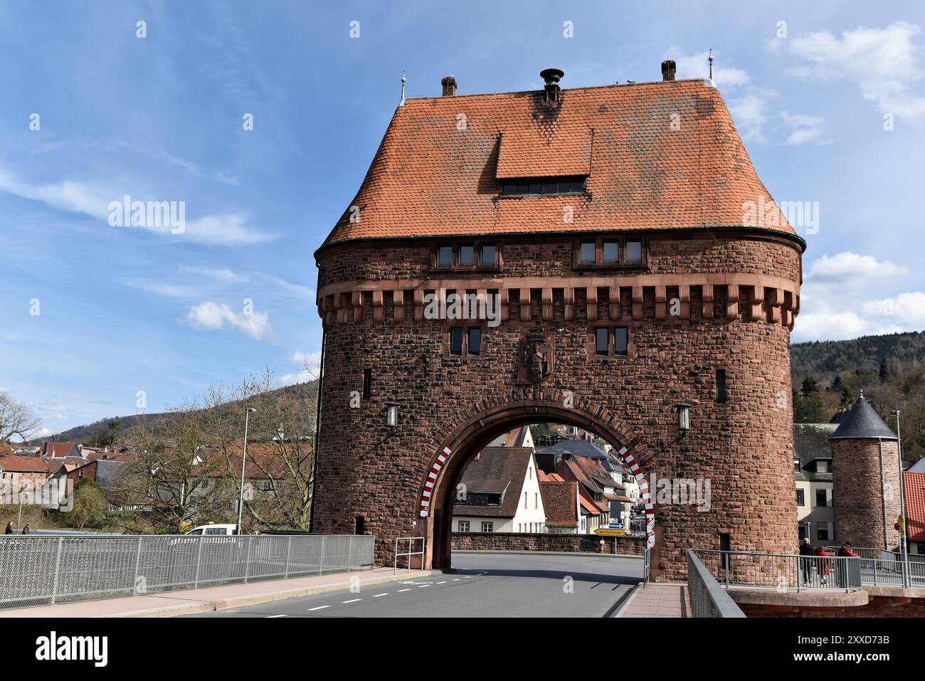 Ponte principale Miltenberg Foto Stock