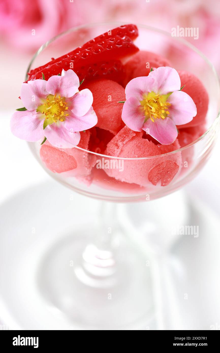Sorbetto di fragole o di gelato per la calda estate Foto Stock