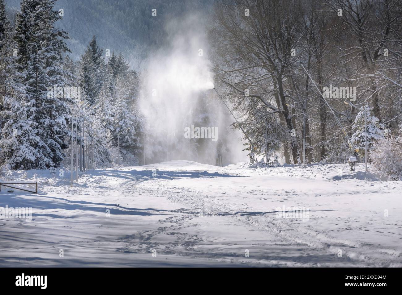 Bansko, Bulgaria winter ski resort panorama con alberi di pino foresta, cannoni di neve e pendio Foto Stock