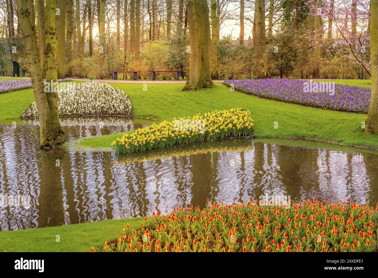 Fiori multicolore e paesaggio fluviale a Keukenhof, Paesi Bassi Foto Stock