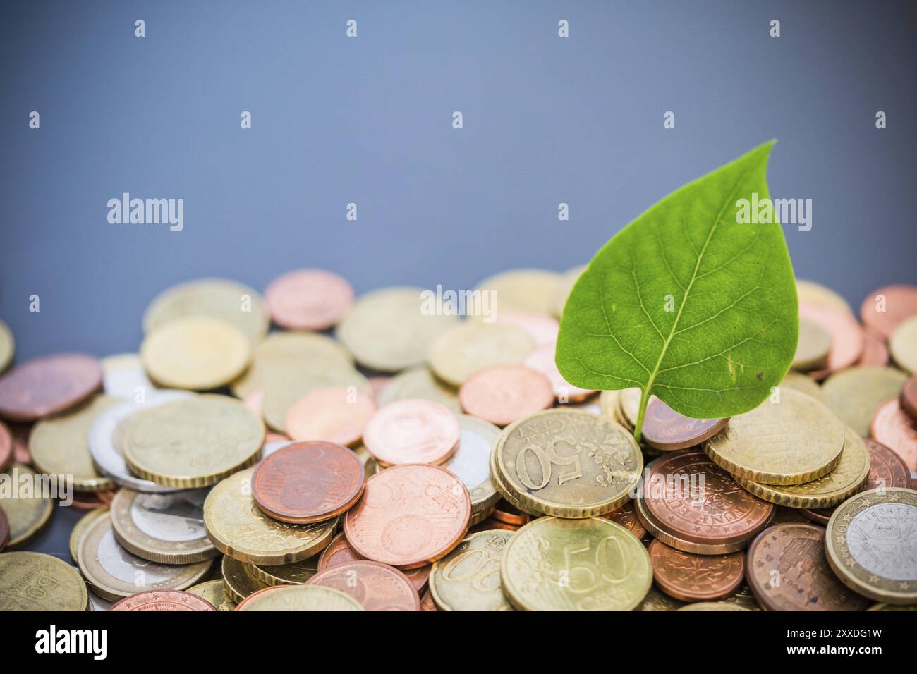 Investimenti sostenibili concetto di denaro: Monete imbastito su ogni altra foglia verde Foto Stock