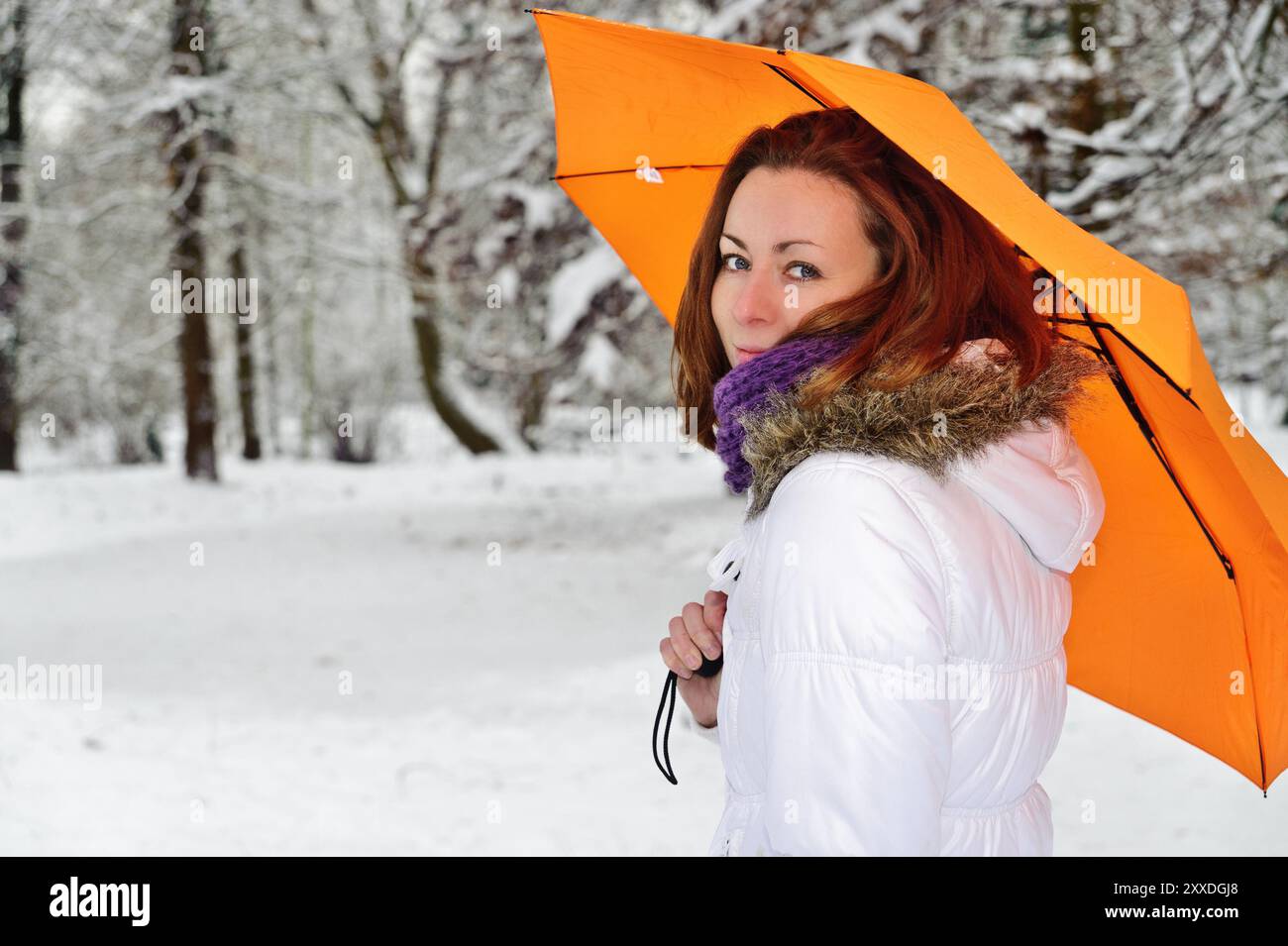 Giovane donna con un ombrello giallo in una foresta invernale Foto Stock