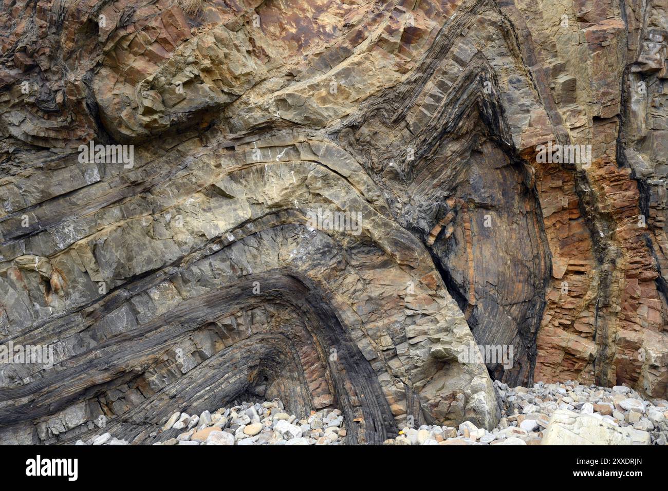 Ripiegamento di aerei da letto a Monkstone Point, Saundersfoot, Galles Foto Stock