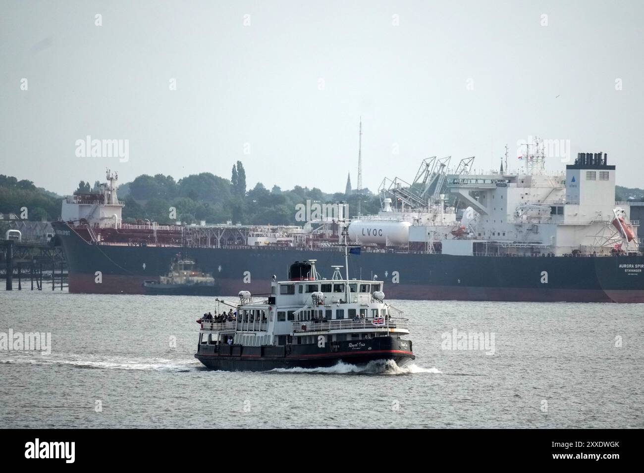 Il traghetto Royal Iris Mersey attraversa il fiume Mersey da Seacombe a Liverpool Pier Head, Inghilterra Foto Stock