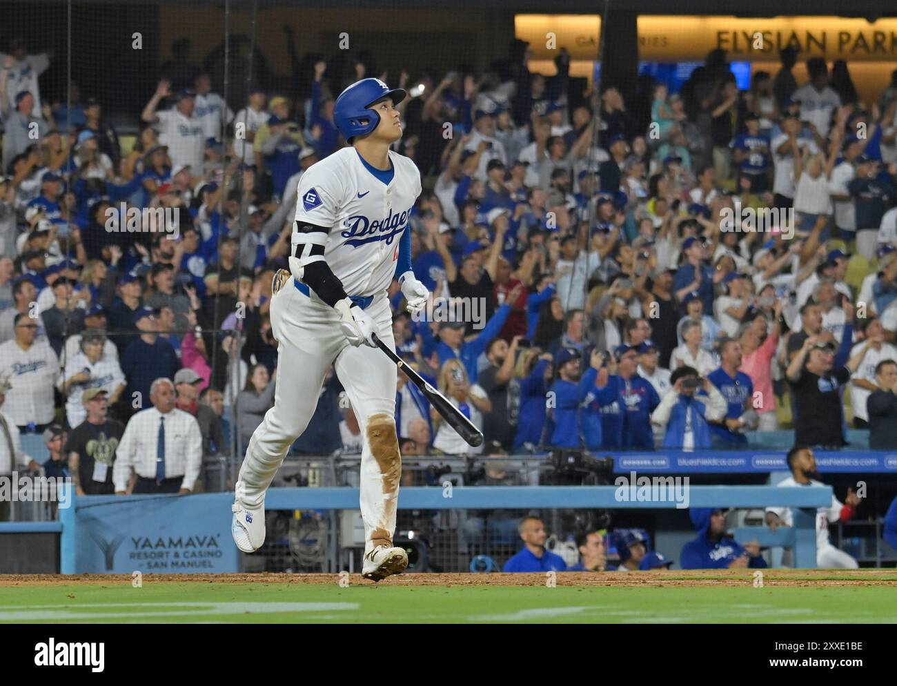 Los Angeles, Stati Uniti. 23 agosto 2024. Il Los Angeles Dodgers DH Shohei Ohtani batte un grande slam nel 7-3 contro i Tampa Bay Rays al Dodger Stadium di Los Angeles venerdì 23 agosto 2024. Ohtani è diventato solo il sesto giocatore nella storia della Major League ad avere un home run di 40, 40 rubati, e il primo ad eclissare entrambe le soglie prima dell'inizio di settembre. Una stagione 40-40 è stata a lungo una delle imprese statistiche più esclusive del baseball. Foto di Jim Ruymen/UPI credito: UPI/Alamy Live News Foto Stock