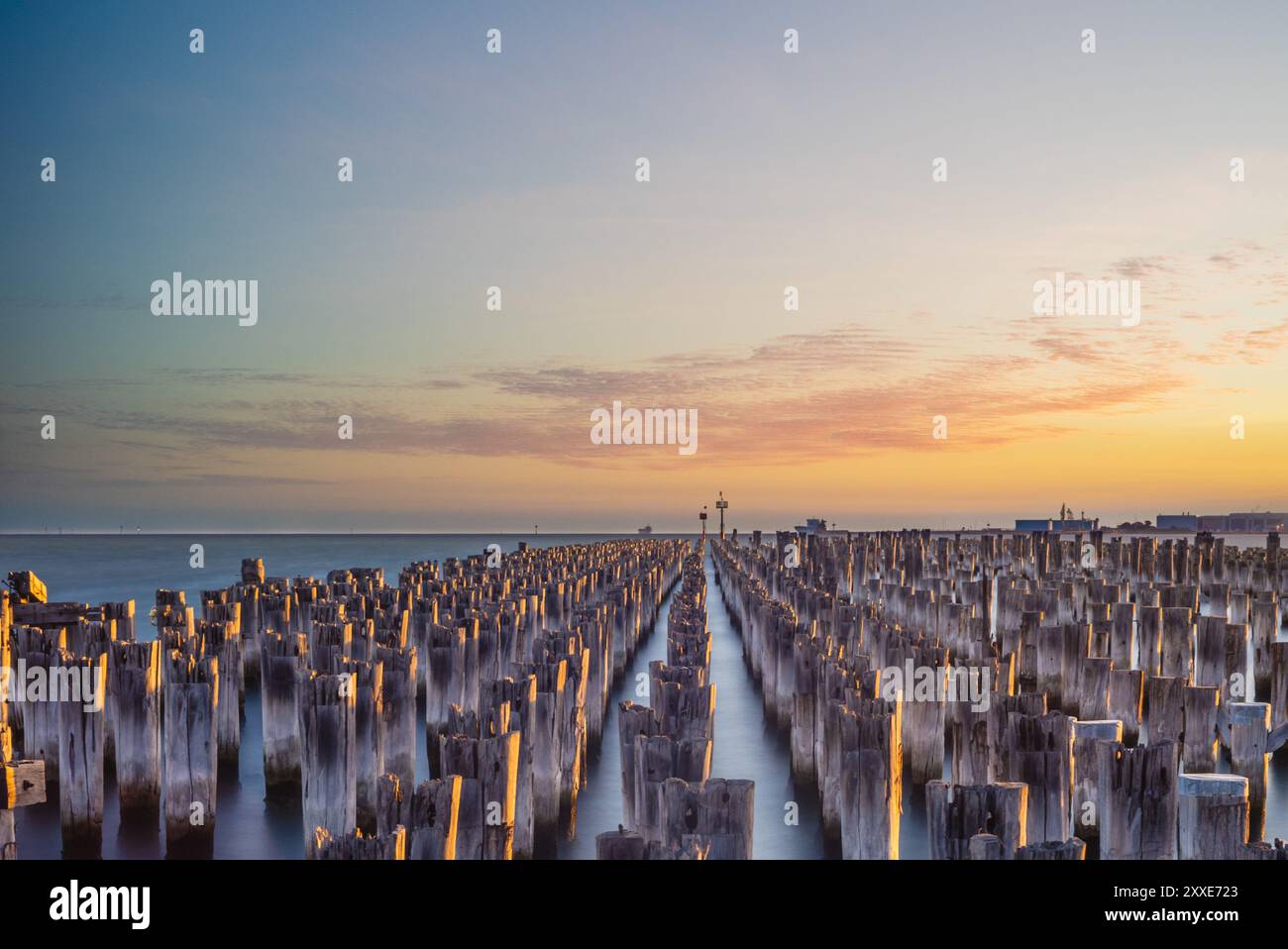 Resti delle colonne di legno originali al Princes Pier situato a Melbourne, Australia Foto Stock