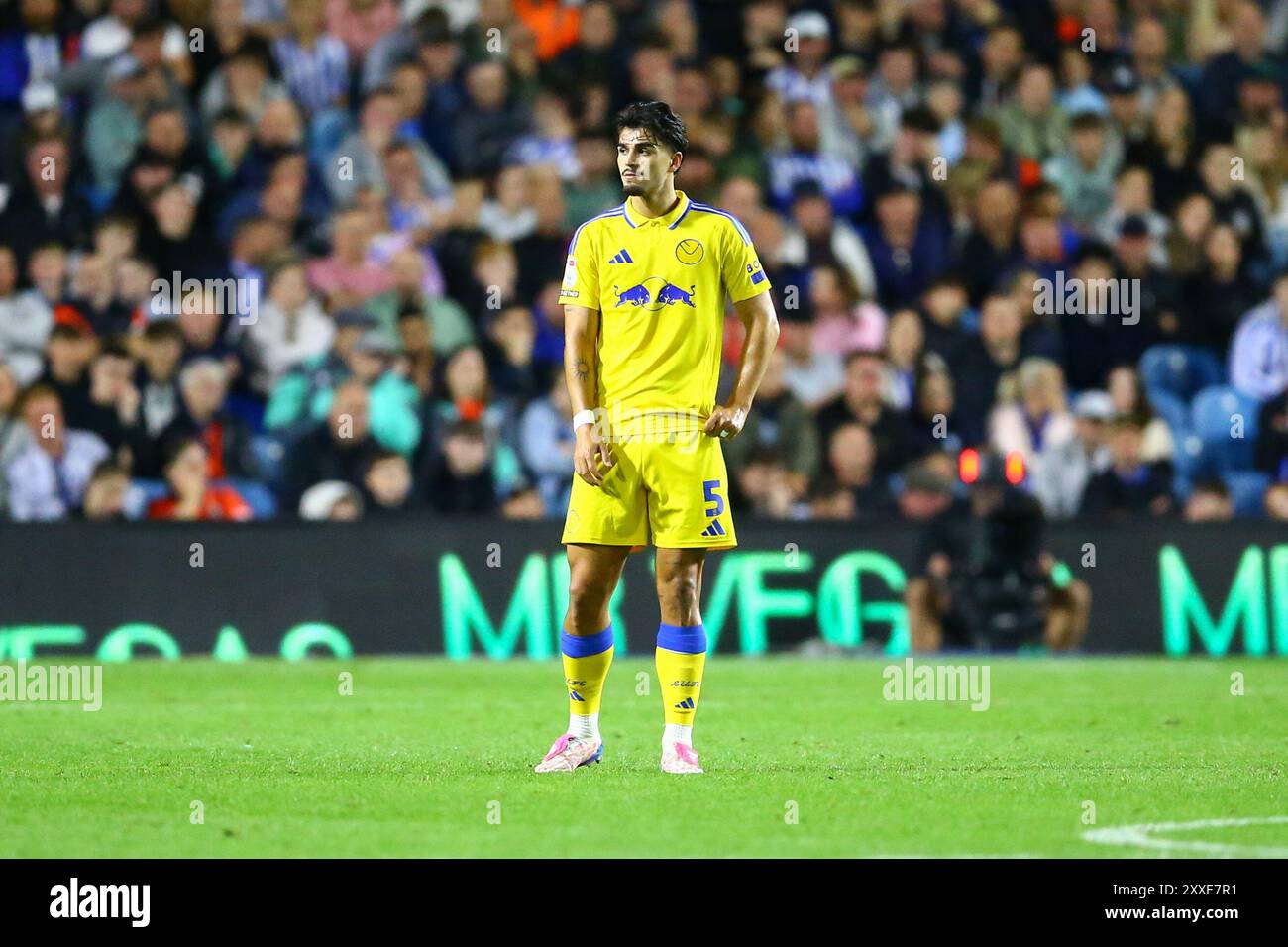 Hillsborough Stadium, Sheffield, Inghilterra - 24 agosto 2024 Pascal Struijk (5) del Leeds United - durante la partita Sheffield Wednesday contro Leeds United, EFL Championship, 2024/25, Hillsborough Stadium, Sheffield, Inghilterra - 24 agosto 2024 credito: Arthur Haigh/WhiteRosePhotos/Alamy Live News Foto Stock